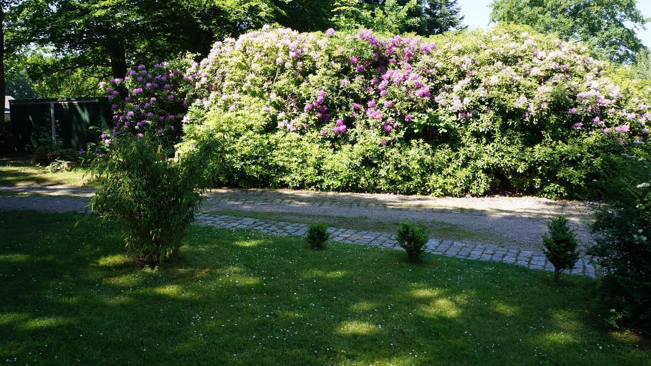 Exklusive Ferienwohnung Zwischen Uni Und Altstadt Luneburg Bagian luar foto